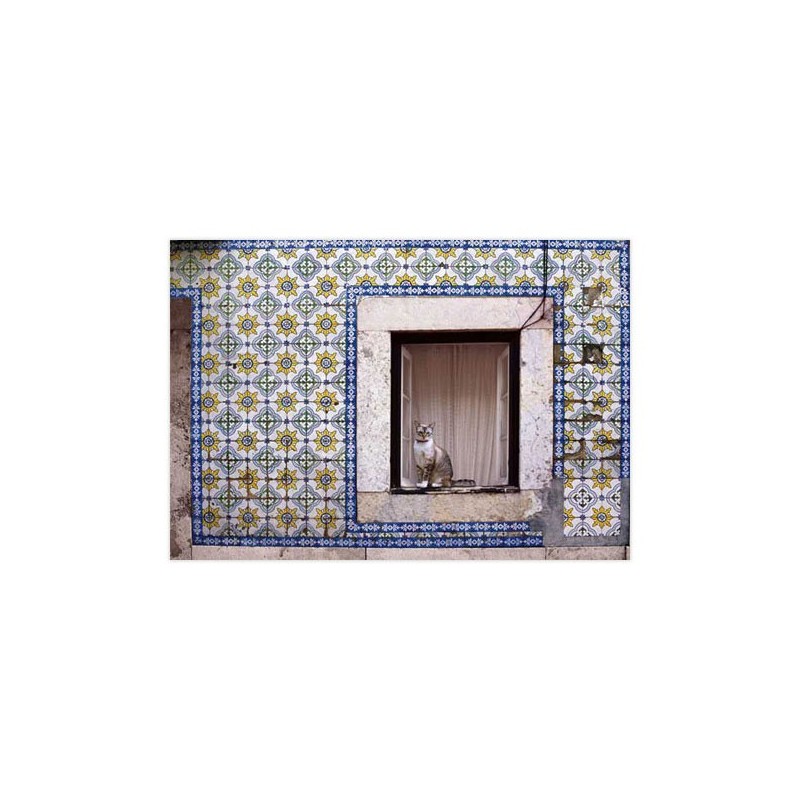 Carte Postale Portugal Chat et Azulejos - Portugal in Box