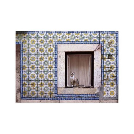 Carte Postale Portugal Chat et Azulejos - Portugal in Box